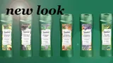 Suave - New Look: Suave in Dark Green thumbnail